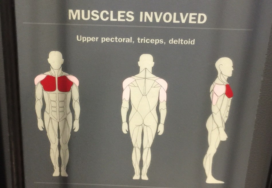 15a3bbec-abf0-454b-adbe-149925118724-18175-00000c23c64c75bf_file